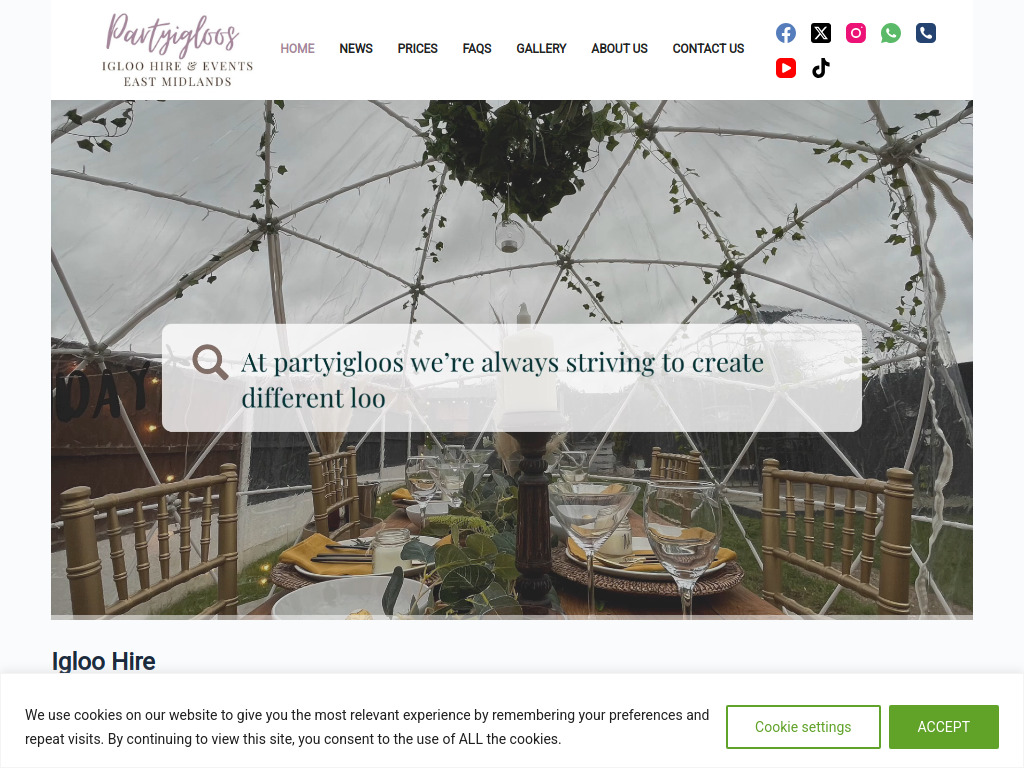 PartyIgloos.com screenshot